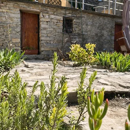 View And Private Garden House For 6