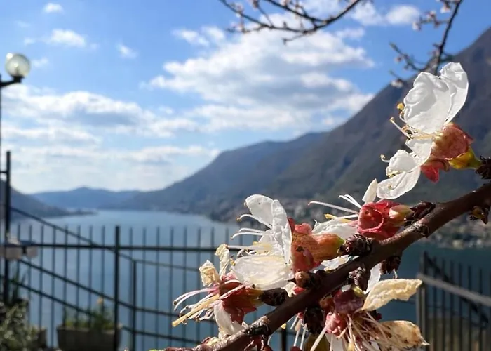 View And Private Garden House For 6 *