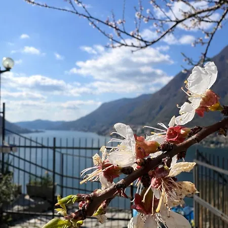 View And Private Garden House For 6 *